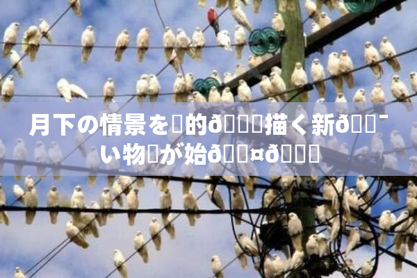月下の情景を詩的🎆描く新🔯い物語が始🖤🌃
