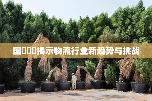 国產梱綁揭示物流行业新趋势与挑战