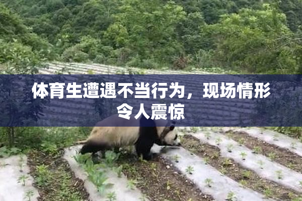 体育生遭遇不当行为，现场情形令人震惊