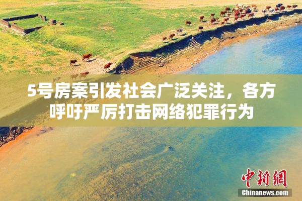 5号房案引发社会广泛关注，各方呼吁严厉打击网络犯罪行为
