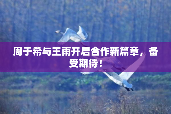 周于希与王雨开启合作新篇章，备受期待！