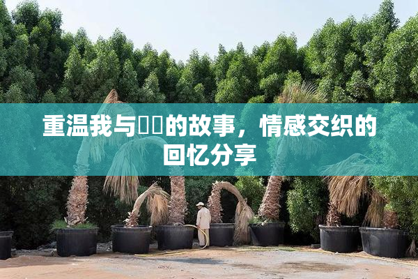 重温我与妺妺的故事，情感交织的回忆分享