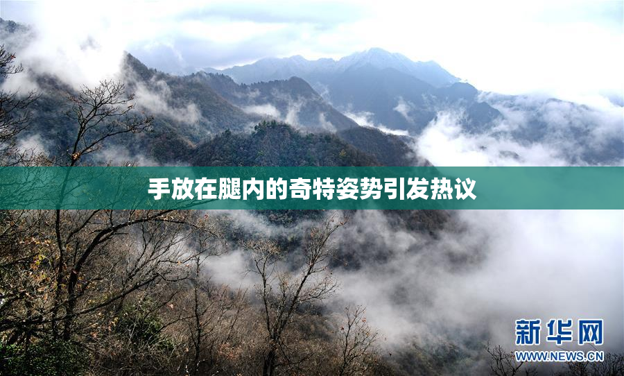 手放在腿内的奇特姿势引发热议