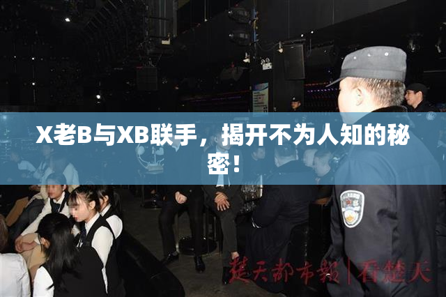 X老B与XB联手，揭开不为人知的秘密！