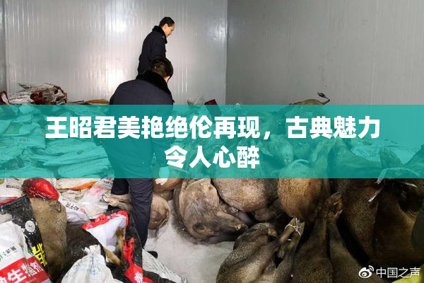 王昭君美艳绝伦再现，古典魅力令人心醉