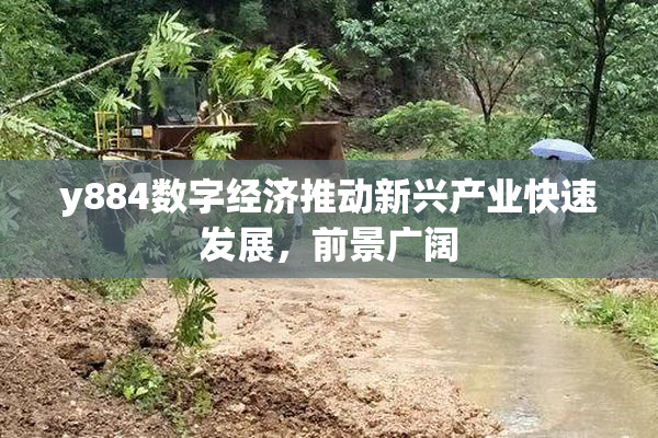y884数字经济推动新兴产业快速发展，前景广阔