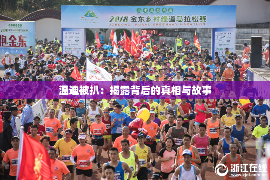 温迪被扒：揭露背后的真相与故事