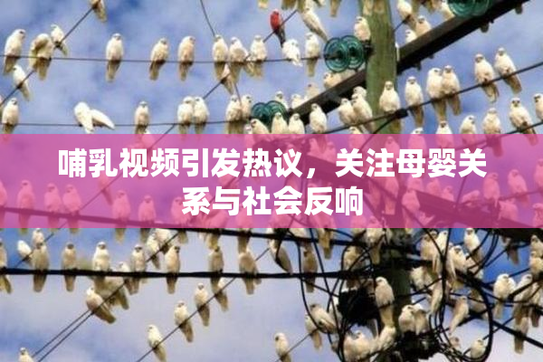 哺乳视频引发热议，关注母婴关系与社会反响