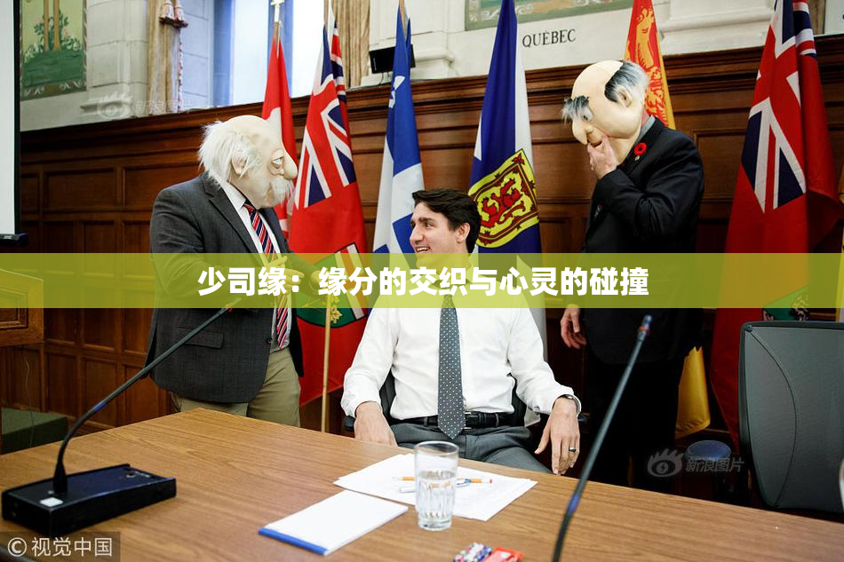少司缘：缘分的交织与心灵的碰撞