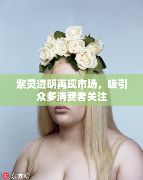 紫灵透明再现市场，吸引众多消费者关注