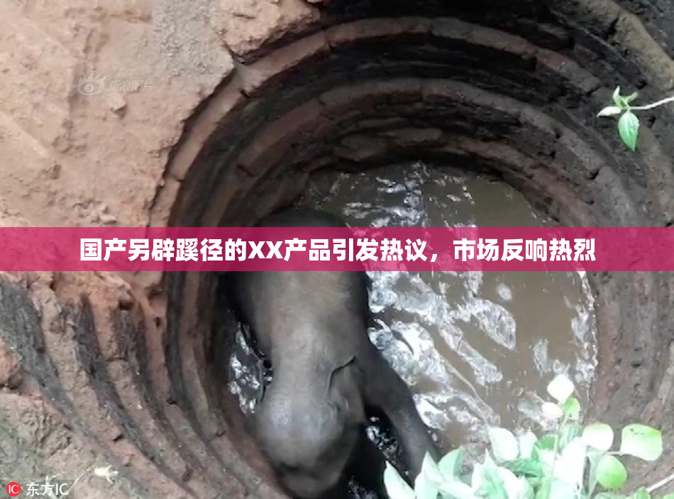 国产另辟蹊径的XX产品引发热议，市场反响热烈
