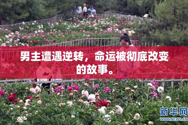 男主遭遇逆转，命运被彻底改变的故事。