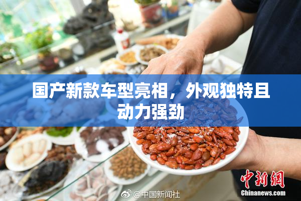 国产新款车型亮相，外观独特且动力强劲
