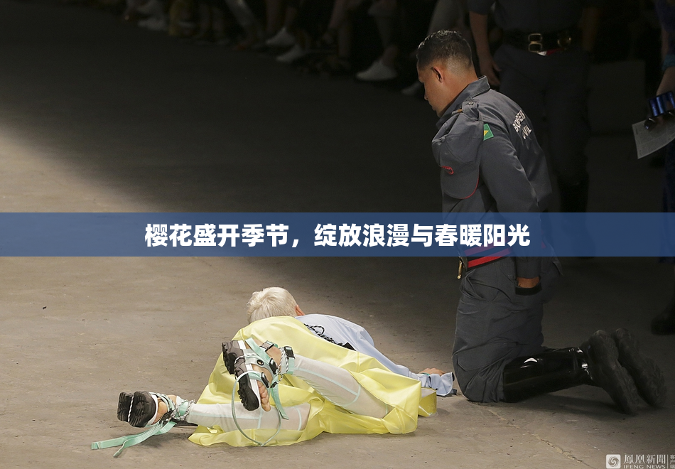 樱花盛开季节，绽放浪漫与春暖阳光