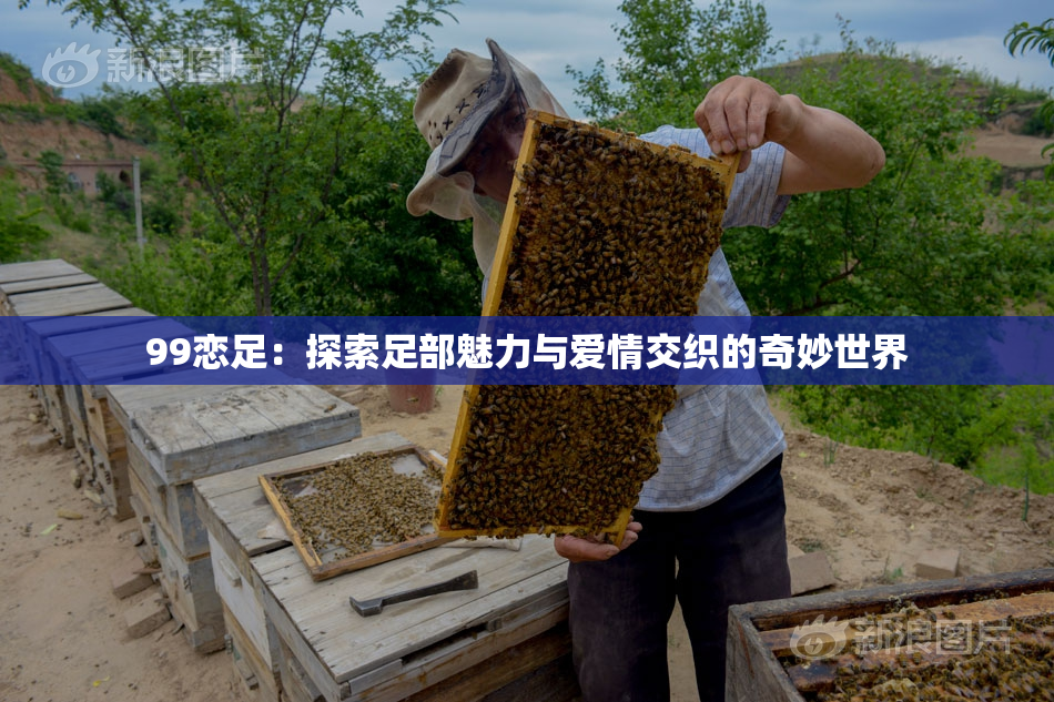 99恋足：探索足部魅力与爱情交织的奇妙世界