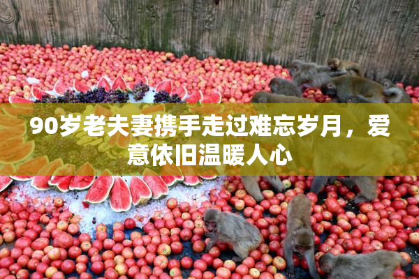 90岁老夫妻携手走过难忘岁月，爱意依旧温暖人心