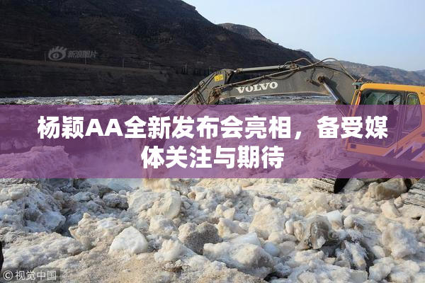 杨颖AA全新发布会亮相，备受媒体关注与期待