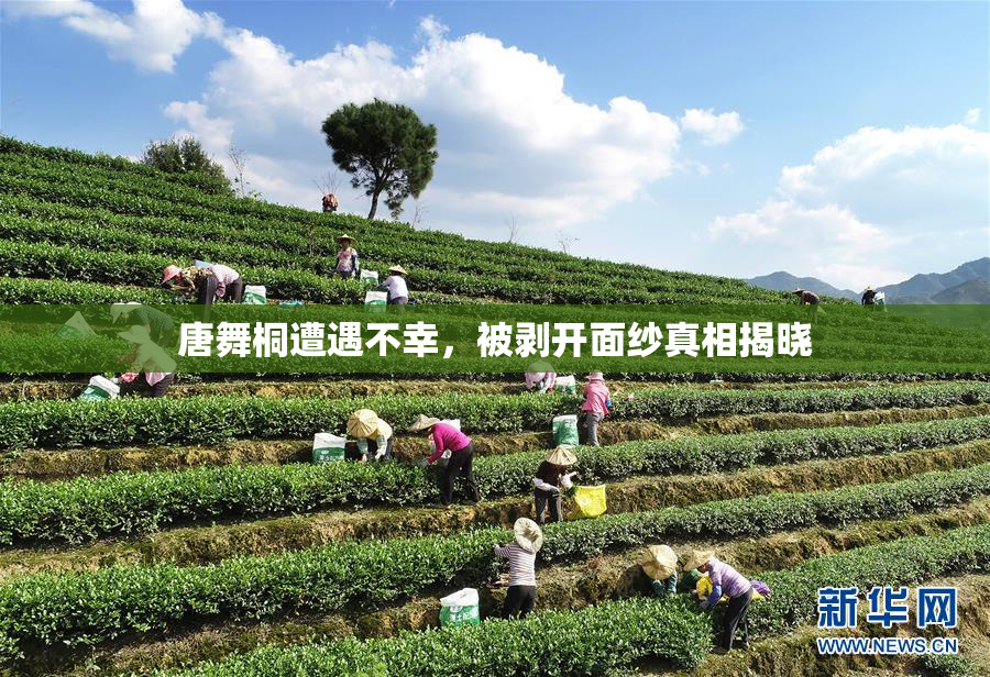 唐舞桐遭遇不幸，被剥开面纱真相揭晓