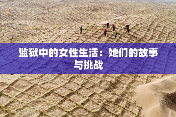 监狱中的女性生活：她们的故事与挑战