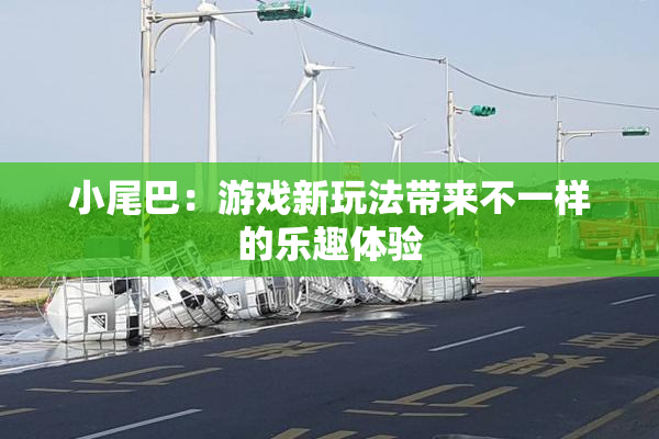 小尾巴：游戏新玩法带来不一样的乐趣体验