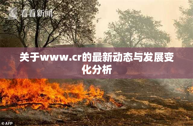 关于www.cr的最新动态与发展变化分析