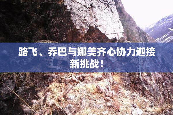 路飞、乔巴与娜美齐心协力迎接新挑战！