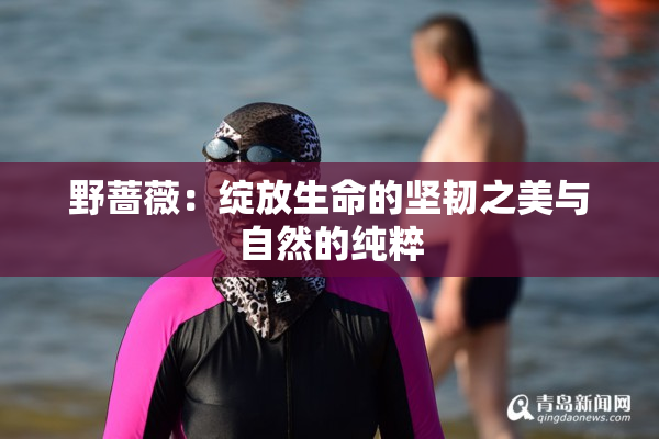 野蔷薇：绽放生命的坚韧之美与自然的纯粹