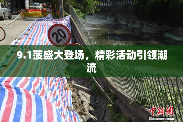 9.1菠盛大登场，精彩活动引领潮流