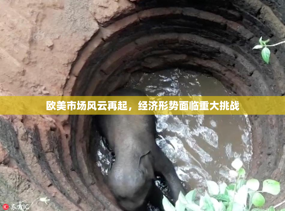 欧美市场风云再起，经济形势面临重大挑战