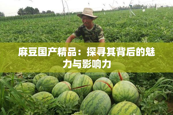 麻豆国产精品：探寻其背后的魅力与影响力