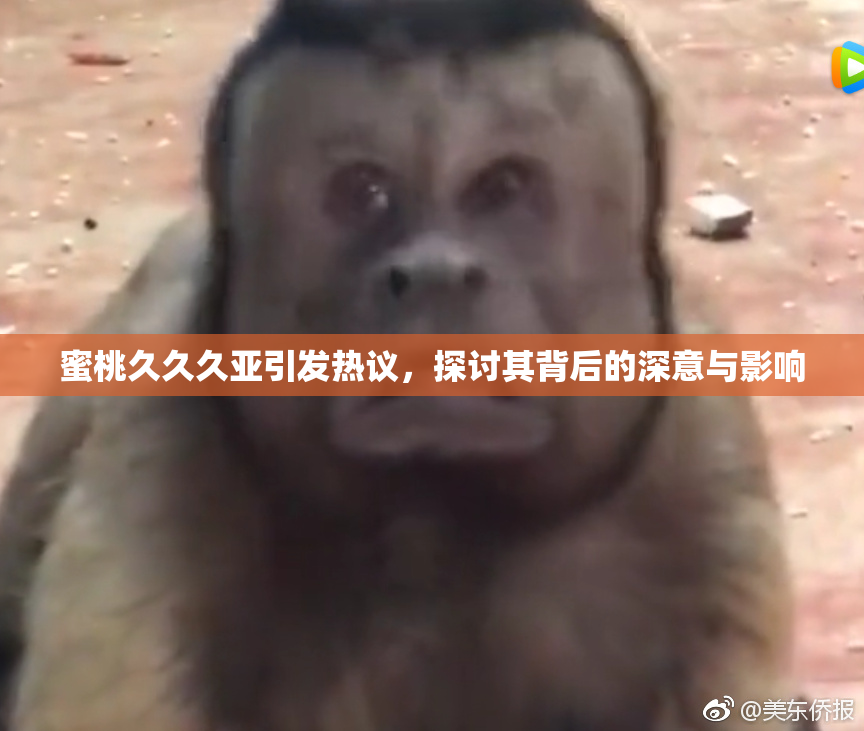 蜜桃久久久亚引发热议，探讨其背后的深意与影响