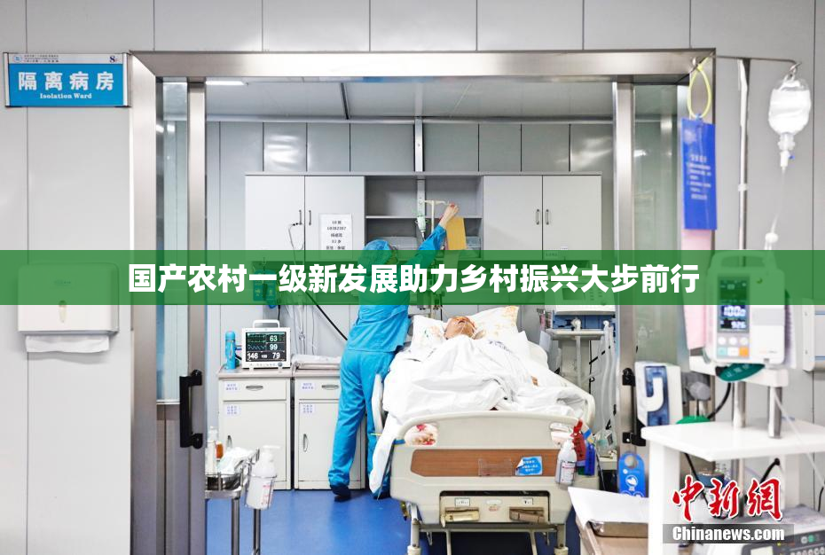 国产农村一级新发展助力乡村振兴大步前行