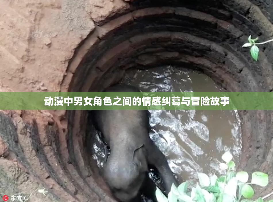 动漫中男女角色之间的情感纠葛与冒险故事