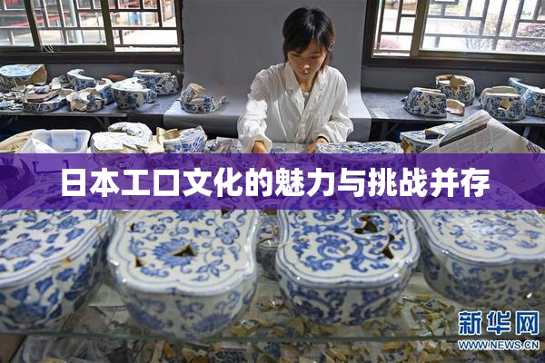 日本工口文化的魅力与挑战并存