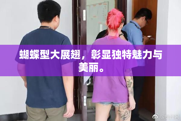 蝴蝶型大展翅，彰显独特魅力与美丽。