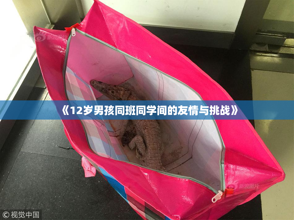 《12岁男孩同班同学间的友情与挑战》