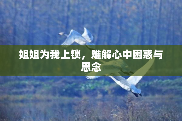 姐姐为我上锁，难解心中困惑与思念