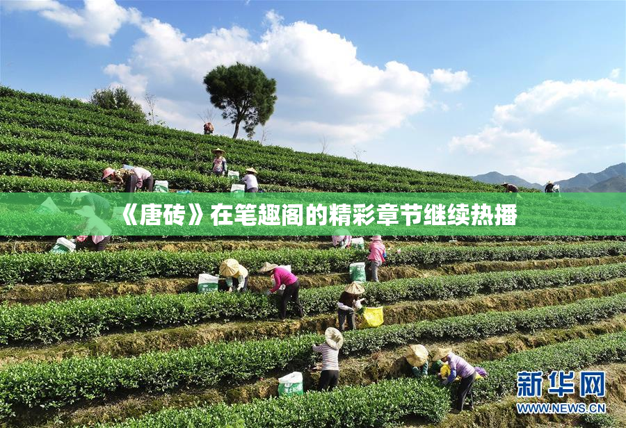 《唐砖》在笔趣阁的精彩章节继续热播
