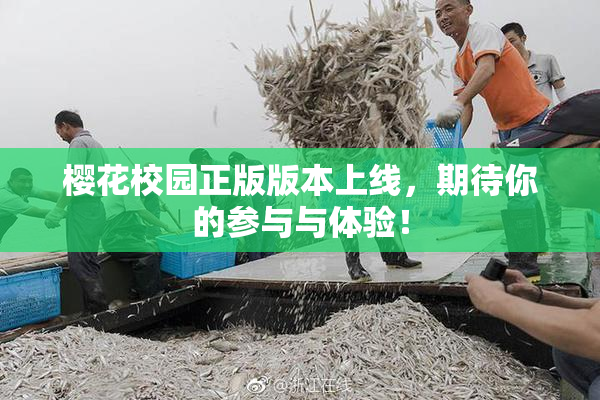 樱花校园正版版本上线，期待你的参与与体验！