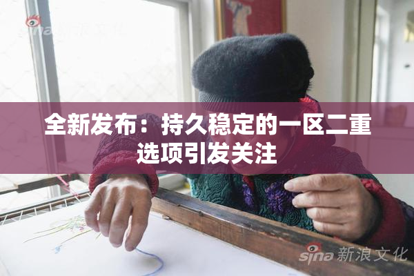 全新发布：持久稳定的一区二重选项引发关注
