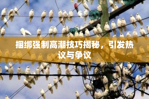 捆绑强制高潮技巧揭秘，引发热议与争议