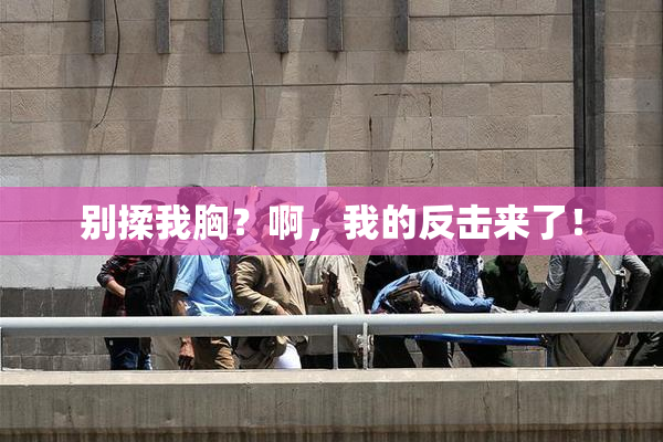 别揉我胸？啊，我的反击来了！