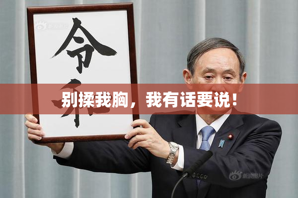 别揉我胸，我有话要说！