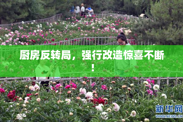 厨房反转局，强行改造惊喜不断！