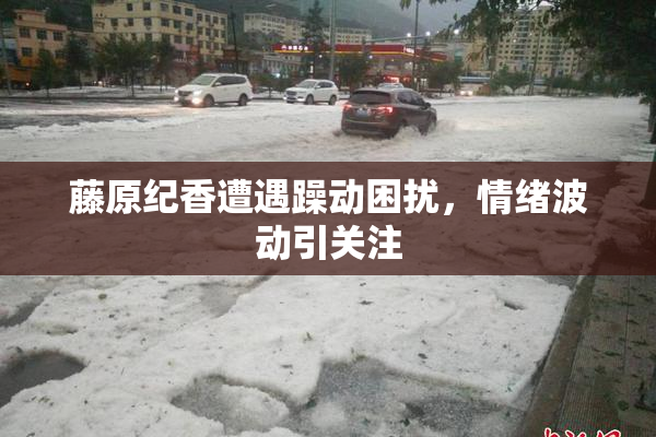 藤原纪香遭遇躁动困扰，情绪波动引关注