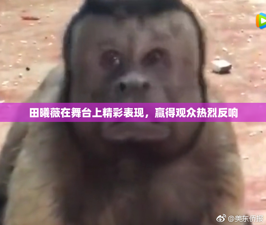 田曦薇在舞台上精彩表现，赢得观众热烈反响