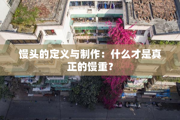 馒头的定义与制作：什么才是真正的馒重？