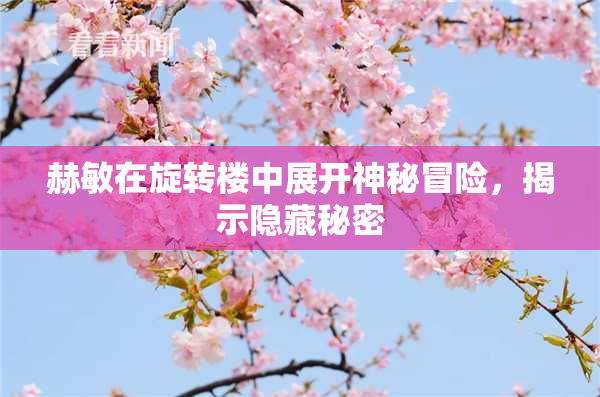 赫敏在旋转楼中展开神秘冒险，揭示隐藏秘密