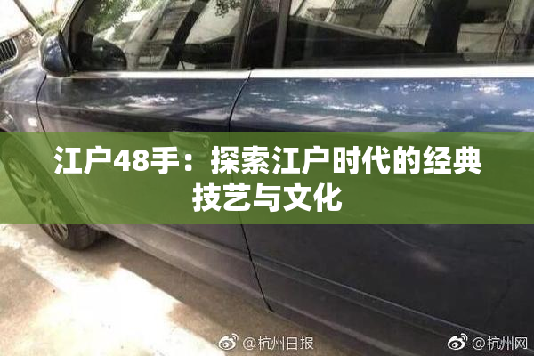江户48手：探索江户时代的经典技艺与文化