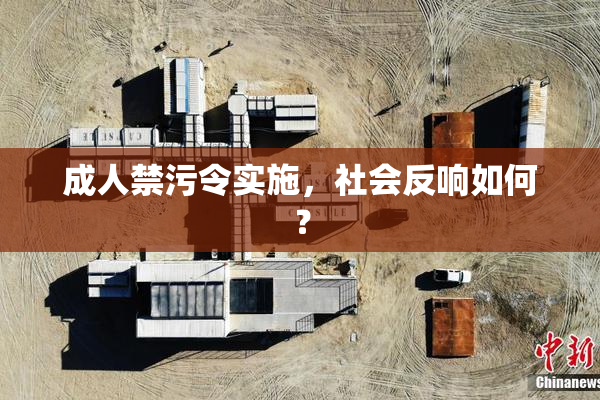 成人禁污令实施，社会反响如何？